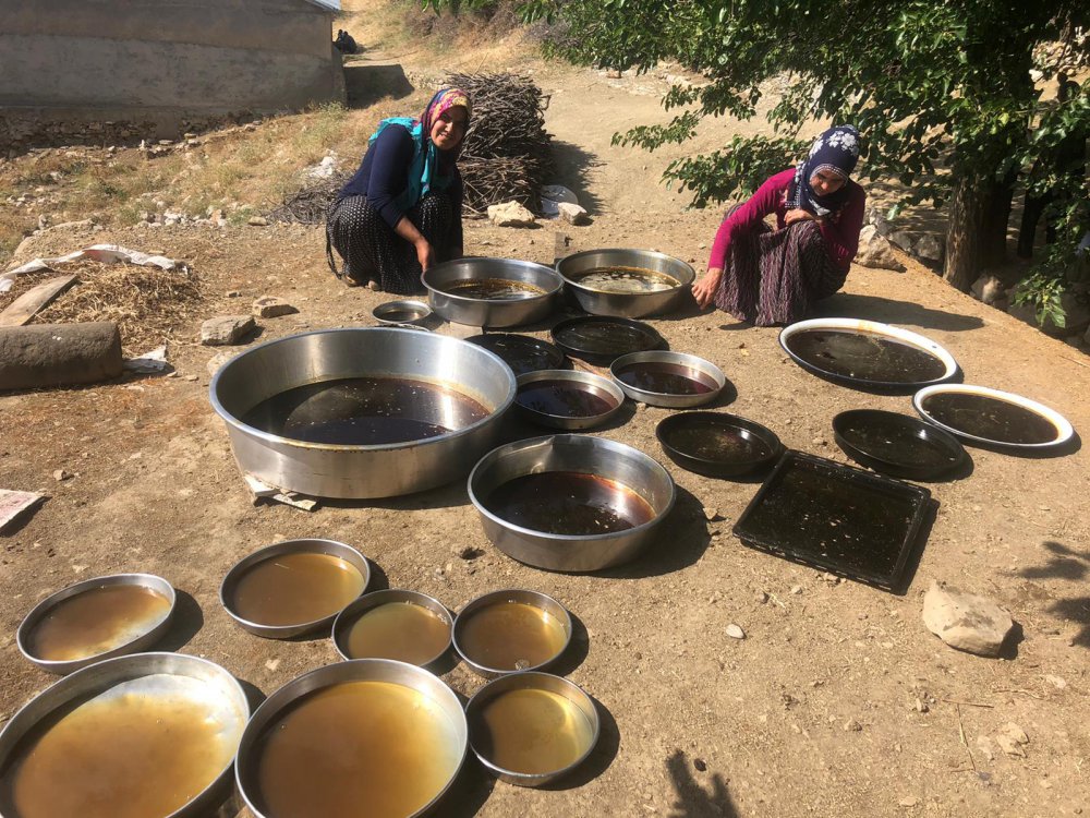 DUTUN PEKMEZE TATLI YOLCULUĞU