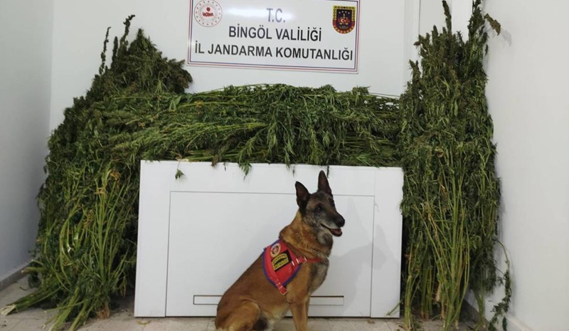 91 KİLO ESRAR ELE GEÇİRİLDİ