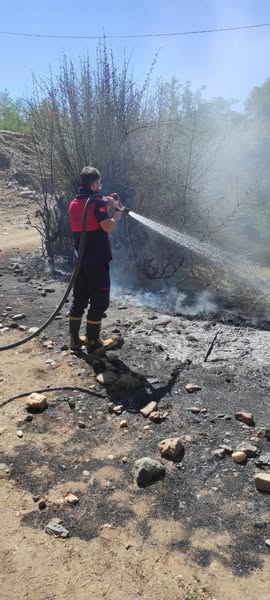 ORMANA SIÇRAMADAN SÖNDÜRÜLDÜ
