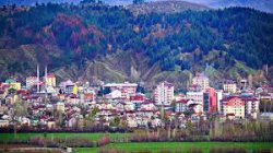 GENÇ`TE 41 TAŞINMAZ İÇİN İHALE BAŞLADI