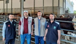 2 BİN AİLEYE KURBAN ETİ  ULAŞTIRDILAR
