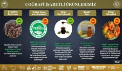 BİNGÖL 10 YENİ ÜRÜNLE BAŞVURDU
