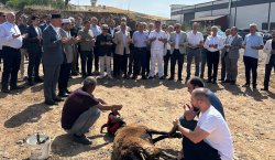 ARTAR  YATIRIM SÖZÜNÜ TUTTU