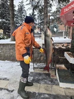 24 KİLOLUK DEV BALIK TEZGAHTA GÖRENLERİ ŞAŞIRTTI