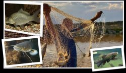 SU ÜRÜNLERİ AV YASAĞI BAŞLIYOR