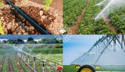 BİNGÖL`DE ÇİFTÇİ VE YATIRIMCIYA HİBE DESTEGİ ANLATILACAK